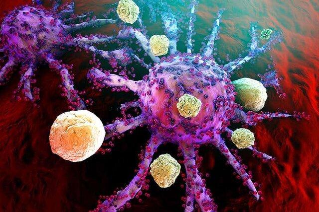 کشف پایگاه های ایمنی بدن در مقابله با سرطان
