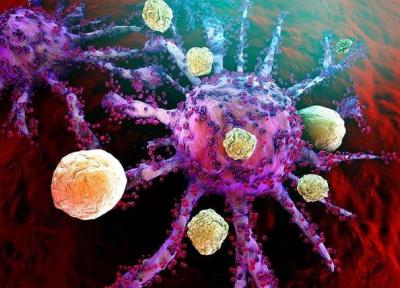 کشف پایگاه های ایمنی بدن در مقابله با سرطان