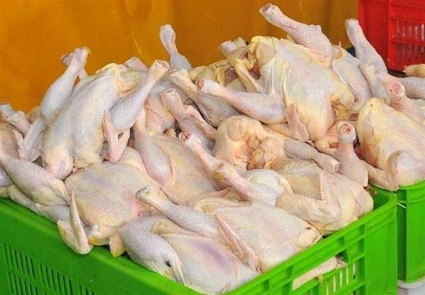 عرضه 1400 تُن مرغ گرم در تهران از امروز خبرنگاران