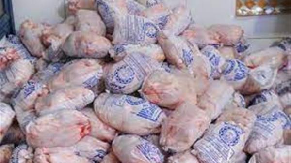 توافق برای ترانزیت و ترخیص مرغ های وارداتی