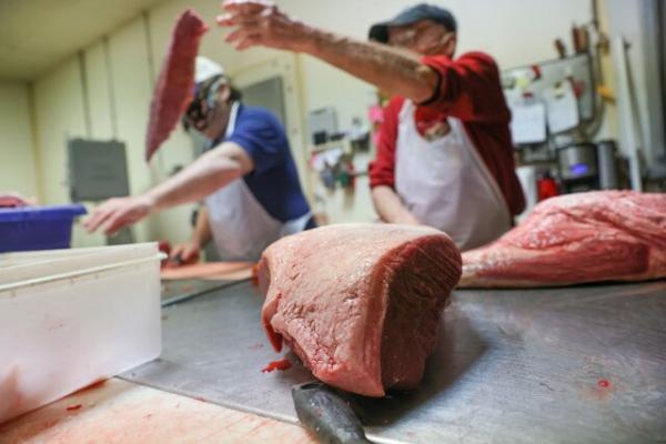 تور برزیل: لغو ممنوعیت واردات گوشت برزیلی به عربستان