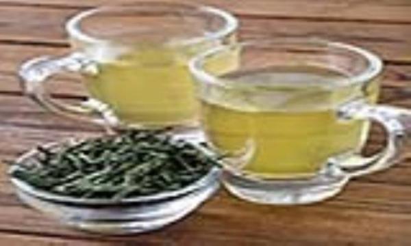 چای سبز جهت کاهش وزن چای سبز جهت کاهش وزن