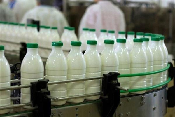 تغییرات یک ساله قیمت شیر ، یک لیتر شیر پرچرب چند شد؟